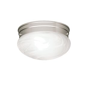 Ceiling Space 2-Light Flush Mount in Brushed Nickel