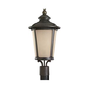 Cape May 1-Light Outdoor Post Lantern in Burled Iron