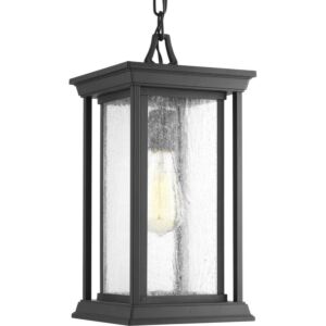 Endicott 1-Light Hanging Lantern in Black