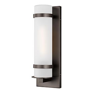 Sea Gull Alban Outdoor Wall Light in Antique Bronze