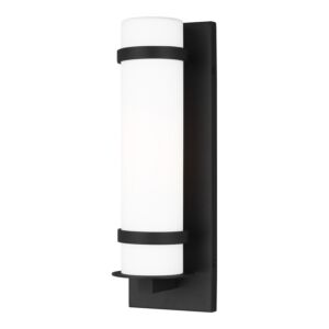 Alban 1-Light Outdoor Wall Lantern in Black