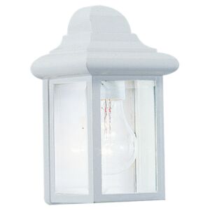 Mullberry Hill 1-Light Outdoor Wall Lantern in White