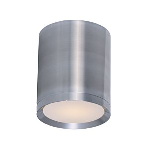 Lightray LED Outdoor Ceiling Light