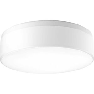 Maier Dc LED 1-Light LED Flush Mount in White