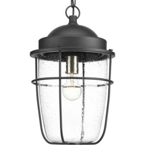 Holcombe 1-Light Hanging Lantern in Black