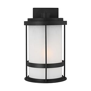 Wilburn 1-Light Outdoor Wall Lantern in Black