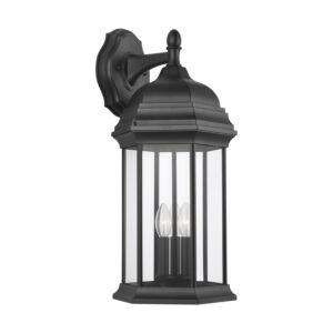Sevier 3-Light Outdoor Wall Lantern in Black