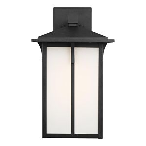 Tomek 1-Light Outdoor Wall Lantern in Black