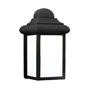 Mullberry Hill 1-Light Outdoor Wall Lantern in Black