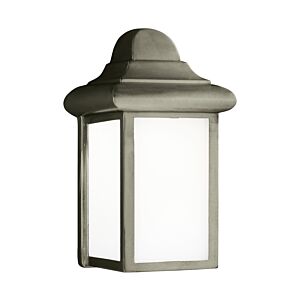 Mullberry Hill 1-Light Outdoor Wall Lantern in Pewter