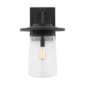 Tybee 1-Light Outdoor Wall Lantern in Black