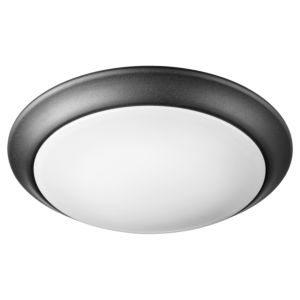 Traditional Outdoor Ceiling Light