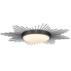 Kieran 1-Light LED Flush Mount Ceiling Light in Matte Black