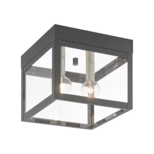 Nyack 2-Light Outdoor Ceiling Mount in Scandinavian Gray w with Brushed Nickels and Polished Chrome Stainless Steel