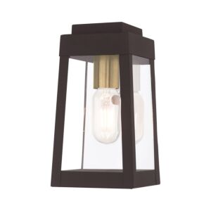Oslo 1-Light Outdoor Wall Lantern in Bronze w with Antique Brass and Polished Chrome Stainless Steel