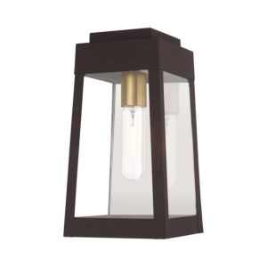 Oslo 1-Light Outdoor Wall Lantern in Bronze w with Antique Brass and Polished Chrome Stainless Steel