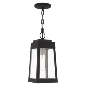 Oslo 1-Light Outdoor Pendant in Black w with Brushed Nickel