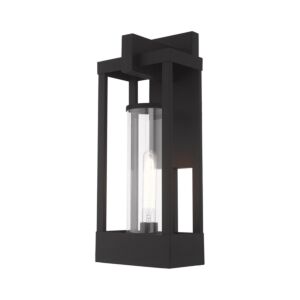 Delancey 1-Light Outdoor Wall Lantern in Black