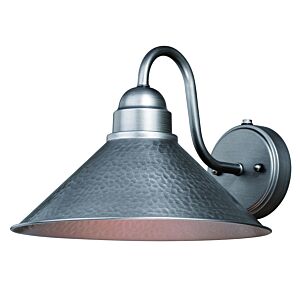 Outland 1-Light Outdoor Wall Mount in Brushed Pewter