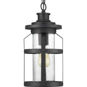 Haslett 1-Light Hanging Lantern in Black