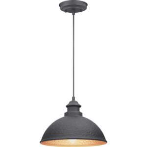 Englewood 1-Light Hanging Lantern in Black
