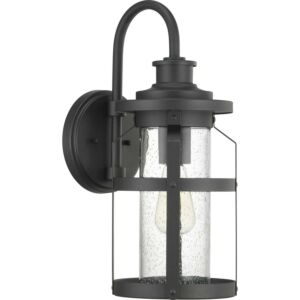 Haslett 1-Light Wall Lantern in Black