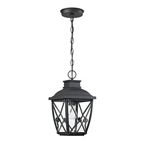 Belmont 1-Light Hanging Lantern in Black