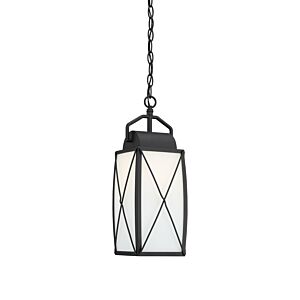 Fairlington 1-Light Hanging Lantern in Black