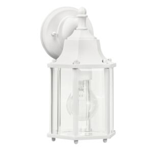 Chesapeake 1-Light Outdoor Wall Mount in White