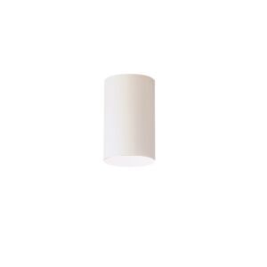 1-Light Outdoor Ceiling Mount in White