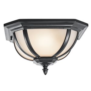 Salisbury 2-Light Outdoor Flush & Ceiling Light
