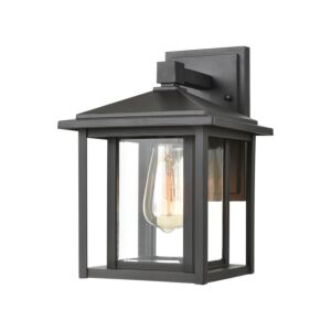 Solitude 1-Light Outdoor Wall Sconce in Matte Black