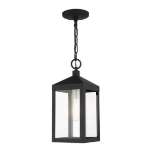 Nyack 1-Light Outdoor Pendant in Black w with Brushed Nickel Cluster