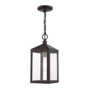 Nyack 1-Light Outdoor Pendant in Bronze w with Antique Brass Cluster