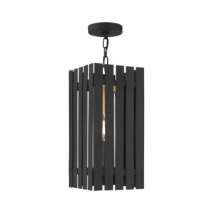Greenwich 1-Light Outdoor Pendant in Black w with Satin Brasss