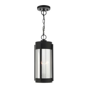 Sheridan 2-Light Outdoor Pendant in Black w with Brushed Nickels