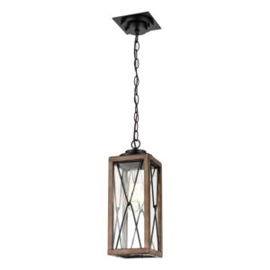 County Fair Outdoor 1-Light Outdoor Pendant in Black and Ironwood