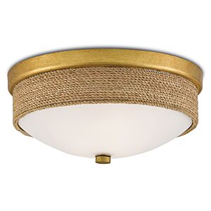 Currey & Company Hopkins Ceiling Light in Gold Leaf