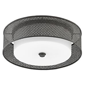 Currey & Company 2 Light Notte Ceiling Light in Molé Black