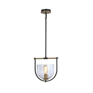 Cheshire Collection 1-Light Pendant in Black and Brass