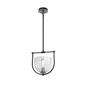 Cheshire Collection 1-Light Pendant in Black and Nickel