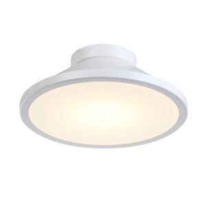 Lucida Collection Integrated LED Flush Mount in White