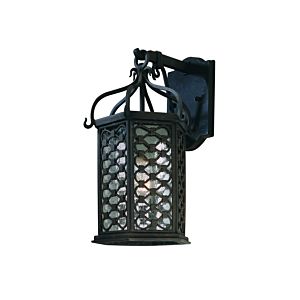 Troy Los Olivos 15 Inch Outdoor Wall Light in Old Iron