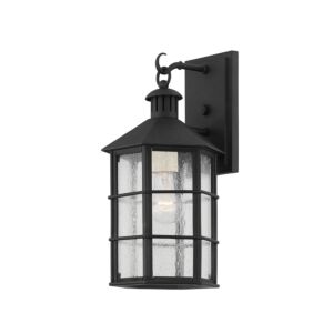 Lake County 1-Light Wall Sconce in French Iron