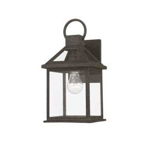 Sanders 1-Light Outdoor Wall Sconce in French Iron