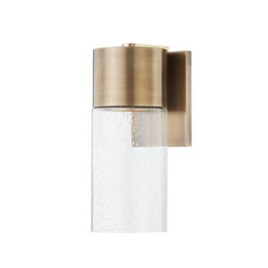Pristine 1-Light Outdoor Wall Sconce in Patina Brass