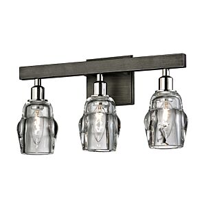 Citizen 3-Light Bathroom Vanity Light in Graphite And Polished Nickel