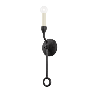 Orson 1-Light Wall Sconce in Black Iron