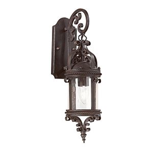 Troy Pamplona 19 Inch Outdoor Wall Light in Old Bronze