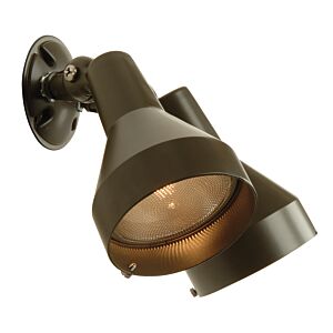 Craftmade Bullets And Floods 10 Inch Flood Light in Antique Bronze